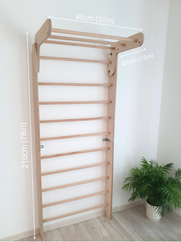 Stall Bars Swedish Ladder P220