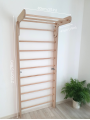 Stall Bars Swedish Ladder P220
