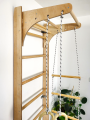 Monkey bars climbing frame for kids wall bars P60